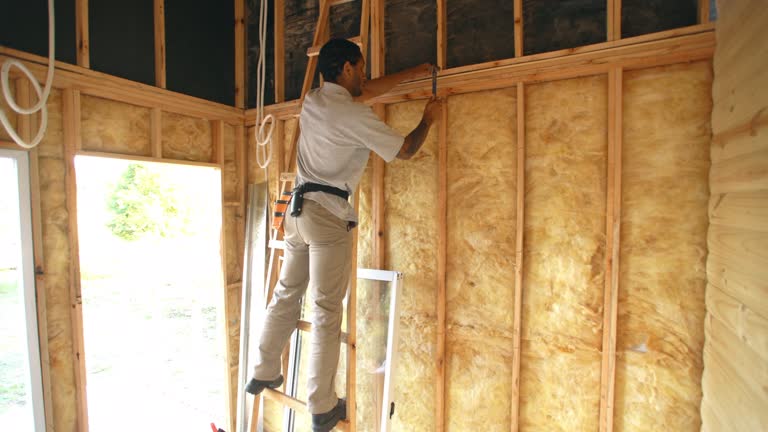 Best Crawl Space Insulation  in Northdale, FL