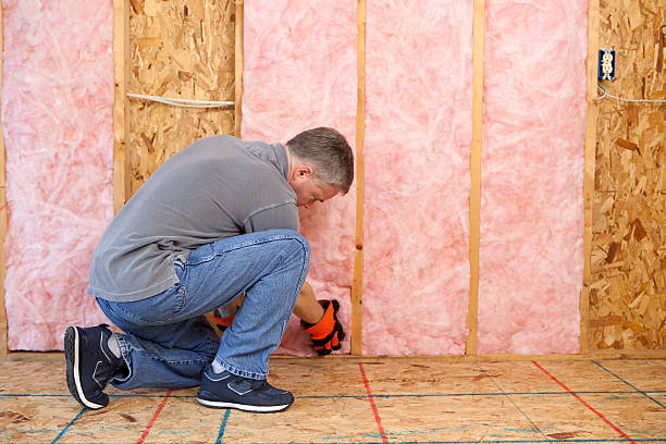 Best Fireproof Insulation  in Northdale, FL