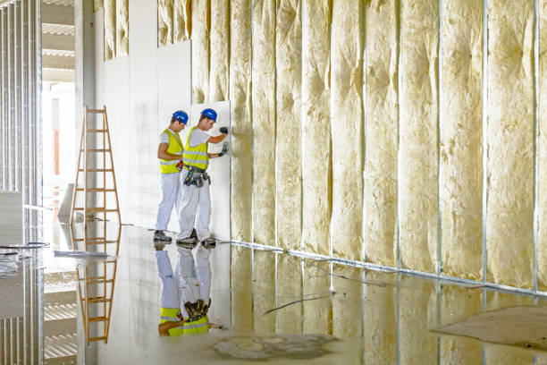 Best Insulation for New Construction  in Northdale, FL